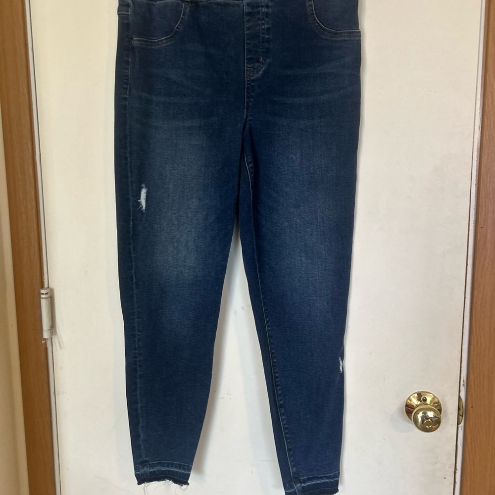 Spanx 1X Stretch Pull On Skinny Raw Hem Pants